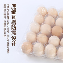 塑料透明8枚皮蛋皮鸭蛋LNZ010鸭蛋盒托一次性土光鸭蛋包装直销10