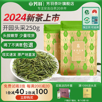 2024年新茶上市芳羽安吉白茶开园头采250g茶叶正宗明前春茶绿茶
