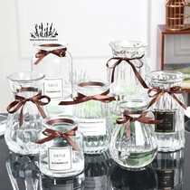 水培绿萝玻璃花瓶创意摆件客厅透明插花鲜花干花容器轻奢网红ins