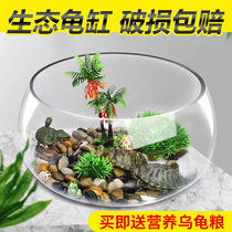 乌龟缸玻璃圆形办公桌水培家用小鱼创意透明小型迷你桌面龟缸造景