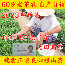 崂山绿茶扁茶2023年新茶春茶大田扁茶豆香浓250克青岛特产包邮