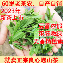 崂山绿茶2023年新茶春茶雨前手工炒制崂山茶崂茶农一斤青岛特产