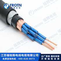 阻燃屏蔽控制电缆ZB-KVVP2/22-10*0.75/1/1.5/2.5/4/6平方