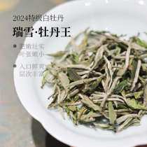 【2024春茶预售】深山行 福鼎白茶瑞雪牡丹王 头采特级白牡丹高山