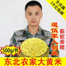 23年新东北大黄米500g农家糯小米粘豆包粽子小米粥糯黏黄米黍子米