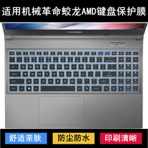 适用机械革命蛟龙AMD键盘保护膜15.6寸笔记本电脑防尘防水字母套