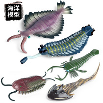 远古海洋动物模型三叶虫海蝎仿真史前生物鹦鹉螺鲎儿童奇虾玩具