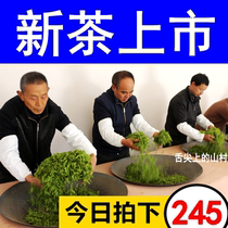2024新茶湖北五峰芽毛尖茶叶三峡宜昌特产明前特级采花贡绿茶500g