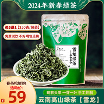雪龙绿茶2024年新茶云南茶叶250克自己喝高山云雾春茶散装明前