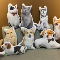 diy定制抱枕3d照片定做宠物纪念枕头猫咪狗异形来图创意礼物可印