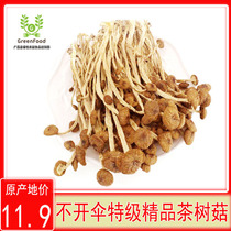 茶树菇干货广昌特产不开伞茶树菇100g养生煲汤火锅干锅食材