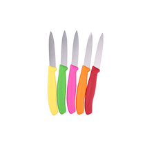 瑞士维氏VICTORINOX家用厨房多功能果蔬削皮刀进口不锈钢水果刀