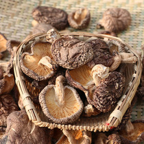 椴木香菇 香菌农家自产 青川土特产 煲汤食材冬菇小蘑菇干货250g