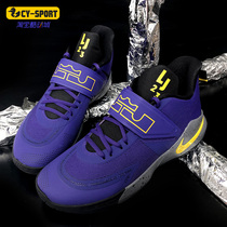 Nike/耐克正品LBJ 詹姆斯使节12 男子运动缓震篮球鞋 BQ5436-500