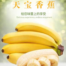 新鲜香蕉水果包邮正宗福建漳州天宝香蕉孕妇小孩水果零添加5斤装