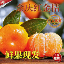 余庆红金桔橘贵州特产农家自种老品种树红金钱桔孕妇水果5斤整箱