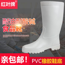 红叶牌耐油耐酸碱防滑食品厂水鞋白色专用工作鞋厨房防水防油水靴