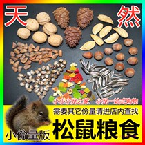 松鼠粮食专用主食幼崽吃的食物饲料营养主粮零食坚果松子松塔小