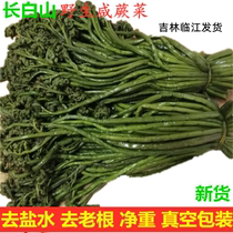 东北咸蕨菜长白山野生蕨菜腌制农家绿色腌制咸菜新货500克