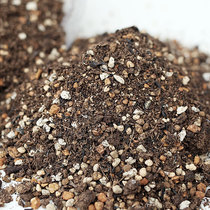 生石花土多肉植物专用土通用植料介质叶插育苗专用播种多肉小苗土