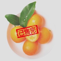 果王广西特产桂林油皮金桔 新鲜水果桔子鸡蛋大小 5斤年货礼盒装