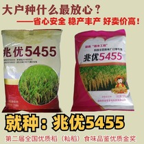 正品高端泰国香米水稻种兆优5455杂交水稻种子产量高抗性强