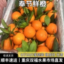 重庆奉节脐橙8斤20斤家庭装当季新鲜橙子孕妇儿童水果重庆双福