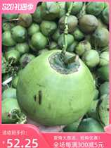 原产地新鲜椰子海南特产文昌东郊椰林椰青9个一箱水果厂家直发