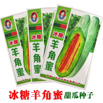 羊角蜜甜瓜种孑脆酥香瓜早熟高产甜度高阳台菜园四季蔬果菜种子籽