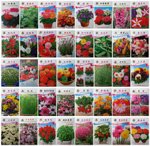 花卉种子套餐 原包装彩包 花种子套餐40个品种特价包邮阳台盆栽