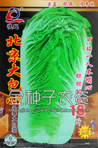 油绿型北京新三号/冬储大白菜种子/北京大包心白菜种子/亩产4万斤