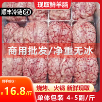 羊脑新鲜冷冻生羊脑鲜脑髓脑花火锅羊肉汤食材清真商用10斤