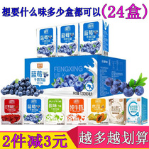 风行牛奶蓝莓味200ml*24盒 红枣枸杞高钙纯牛奶高钙原味酸奶整箱