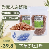 云南特产元阳哈尼梯田红米大米农家粗粮糙米红河红软米红米饭的米