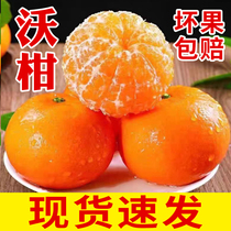 新鲜现摘沃柑9斤水果整箱当季时令一级沙糖蜜橘砂糖柑橘桔子包邮