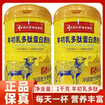 南京同仁堂绿金家园羊初乳多肽蛋白质粉羊初乳免疫中老年成人