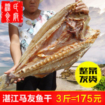 3斤马友鱼干 湛江海鲜特产梅香马鲛鱼广西北海特大红鱼干咸鱼干货