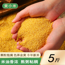 新黄小米5斤农家自种小黄米小米新米煮粥出米油五谷杂粮粗粮包邮