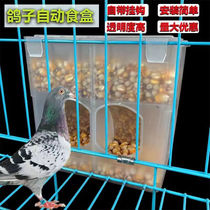鸽子自动食槽喂食下料器防撒食盒饮水器信鸽用品用具肉鸽防撒食槽