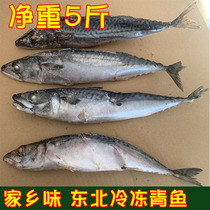 东北冷冻青鱼黑龙江特产冬天家乡味青鱼5斤包邮传统年货