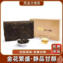 【金花茶砖】广西茂圣六堡茶梧州特产黑茶2015年四级金花散茶250g