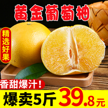 台湾黄金葡萄柚水果包邮 新鲜5斤黄肉蜜柚非南非西柚红心葡萄柚