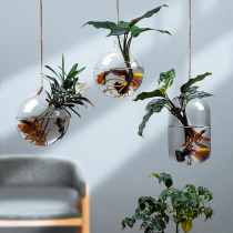 悬挂式植物玻璃瓶花瓶水养培器皿挂墙花盆客厅盆景盆创意透明壁挂