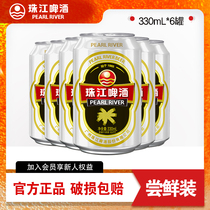 12度经典老珠江啤酒330mL*6罐整箱批发国产清爽鲜啤小包装罐装
