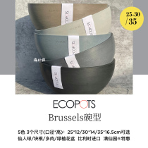 ECOPOTS怡棵比利时进口黑胶盆树脂碗型大口径仙人球多肉块根花盆
