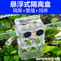 森森孔雀鱼繁殖盒幼鱼鱼缸隔离斗鱼鱼苗产卵器热带鱼亚克力孵化盒
