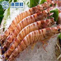 东海舟山超大野生竹节虾2-3-4-6头500g/盒冷冻海鲜九斑节虾明虾