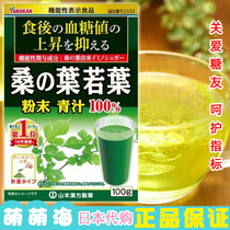 日本正品代购山本漢方日本国产嫩桑叶粉末青汁100g/盒抑制血糖值