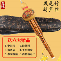 天然凤尾竹葫芦丝初学者C调降B调天然紫竹葫芦丝成人儿童专业乐器