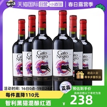 【自营】智利原瓶进口黑猫干红葡萄酒赤霞珠西拉红酒整箱官方正品